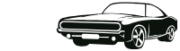 fuhrerscheinbinfo LOGO